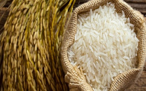 Giá lúa gạo hôm nay ngày 25/11: Giá nếp giảm nhẹ