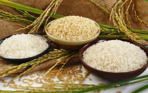 Giá lúa gạo hôm nay ngày 22/12: Giá lúa gạo xuất khẩu tăng 3 USD/tấn